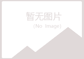 阳山县曹操能源有限公司